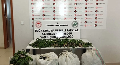 Van'da İran uyruklu 1 kişiye biyoçeşitliliği tahripten toplam 387 bin 141 lira ceza verildi