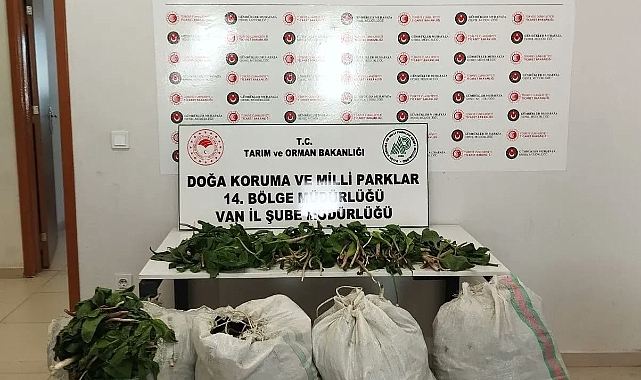 Van'da İran uyruklu 1 kişiye biyoçeşitliliği tahripten toplam 387 bin 141 lira ceza verildi