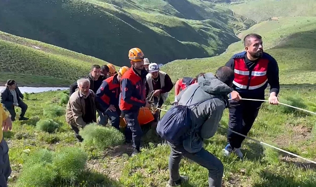Van'ın Gevaş ilçesinde  ot toplarken kayalıklardan düşen şahıs kurtarıldı