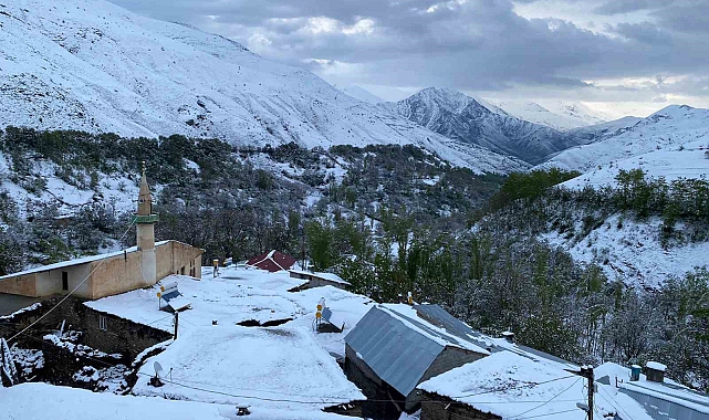 Van'a mayıs ayında lapa lapa kar yağdı