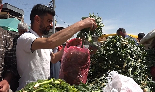 Van'da çiriş otu tezgahlardaki yerini aldı