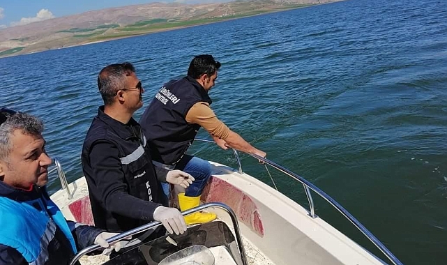 Van'da inci kefali balığının av yasağı devam ediyor
