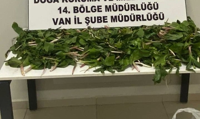 Van'da İran uyruklu 6 kişiye biyoçeşitliliği tahripten toplam 2 milyon 322 bin 846 lira ceza