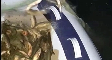 Van'da kaçak avlanan 200 kilo canlı balık yeniden suya bırakıldı