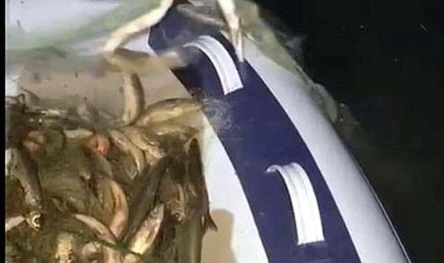 Van'da kaçak avlanan 200 kilo canlı balık yeniden suya bırakıldı