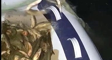 Van'da kaçak avlanan 200 kilo canlı balık yeniden suya bırakıldı