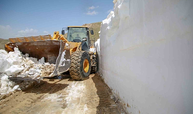 Van'da Karşa Mücadele çalışmaları Devam Ediyor