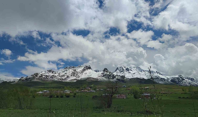 Van'ın dağlarında kış, ovalarında bahar güzelliği yaşanıyor