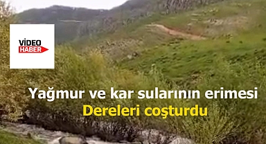 Yağmur ve kar sularının erimesi Dereleri coşturdu