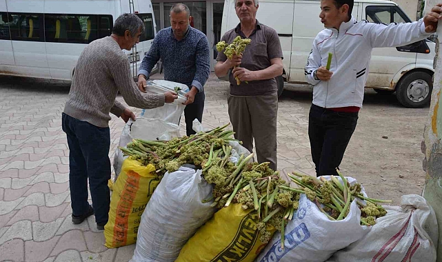 yayla Muzu Tezgahlarda