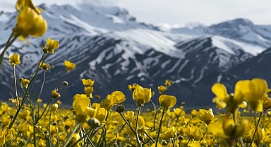Hakkari'nin Yüksekova ilçesinde renk cümbüşü