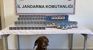 1294 paket kaçak sigara yakalandı
