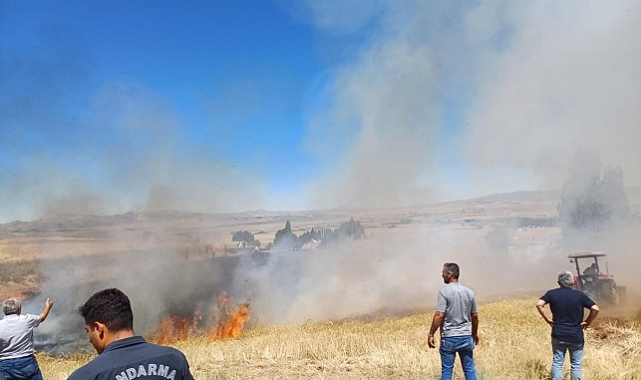 20 dekar ekili alan yangında kül oldu