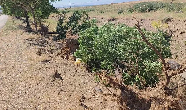 Adilcevaz'da toz fırtınası hayatı felç etti