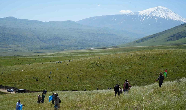 Ağrı Dağı eteklerinde toplanan bitkilerinden aromatik yağlar üretilecek