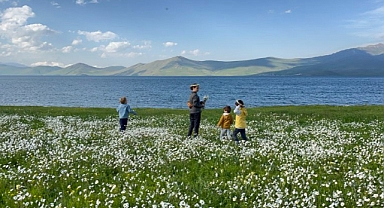 Ağrı’daki papatya tarlası görsel şölen sunuyor