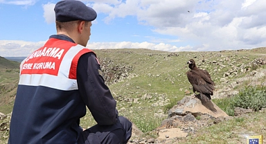 Ağrı Jandarma ekipleri, doğadaki hayvanları sahipsiz bırakmıyor