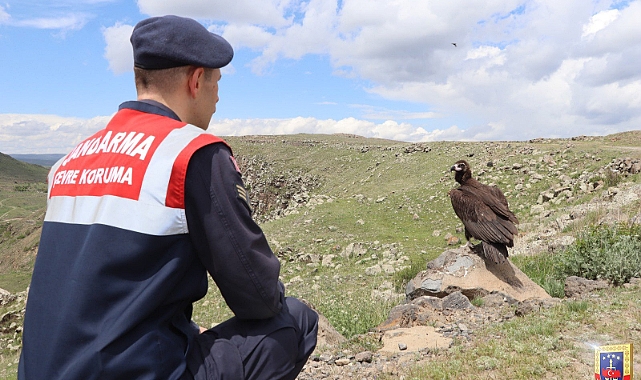 Ağrı Jandarma ekipleri, doğadaki hayvanları sahipsiz bırakmıyor
