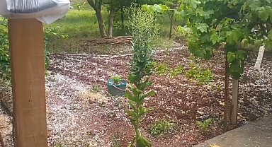 Ani dolu yağışı tarım arazilerine zarar verdi