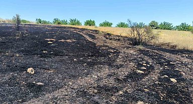 Anız Yangını Korkuttu