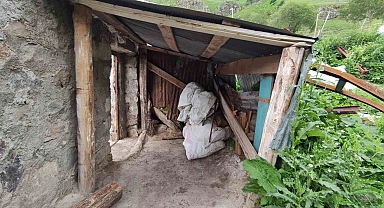 Ardahanlı çiftci besicilik işine devam etmek istiyor, hayvan verilmesini bekliyor