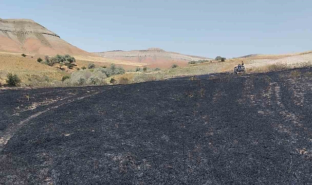Badem ve Fıstık Ağaçları Yangında Zarar Gördü