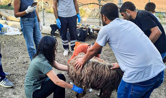 Belediyeden Mardin ve Diyarbakır’a veteriner ve itfaiye desteği