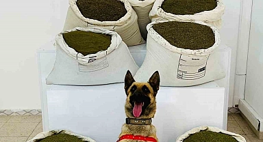 Bingöl'de 150 kilo uyuşturucu ele geçirildi