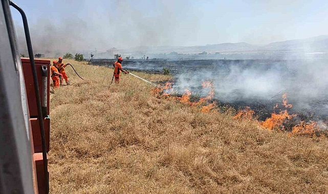 Bingöl'de yaklaşık 100 dönümlük tarım alanı yandı