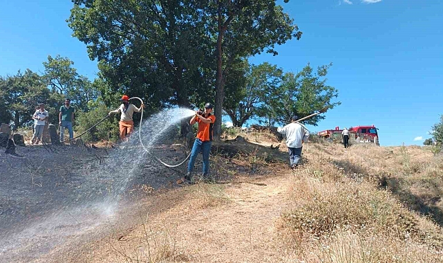 Bingöl'ün Genç ilçesi kırsal alanında çıkan yangın ormana sıçramadan söndürüldü