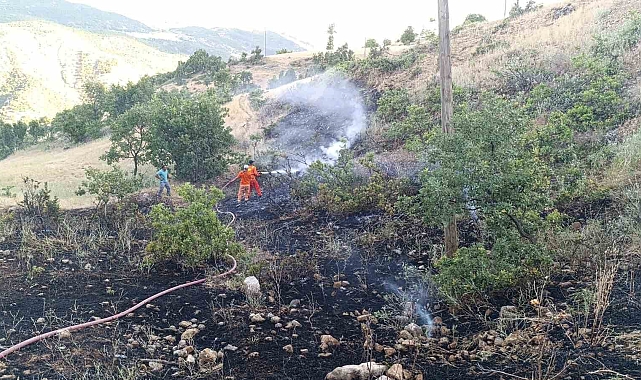 Bir orman yangını daha büyümeden söndürüldü
