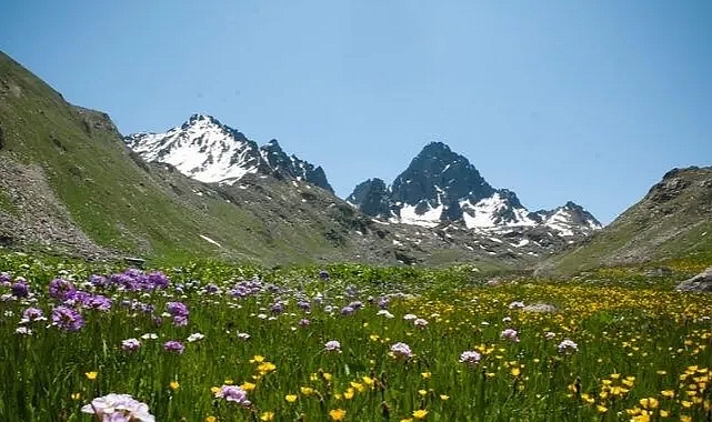 Bitlis'te hangi dağlar var? Bitlis'te kaç tane dağ var?