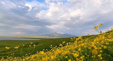 Bulut geçişleri görsel şölen oluşturdu Sütey Yaylası ve Süphan Dağı'nda