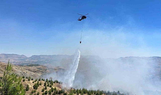 Çobanın çay ateşi ormana sıçradı