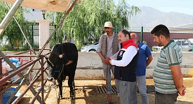 Denetimler sürüyor Erzincan Hayvan Pazarında
