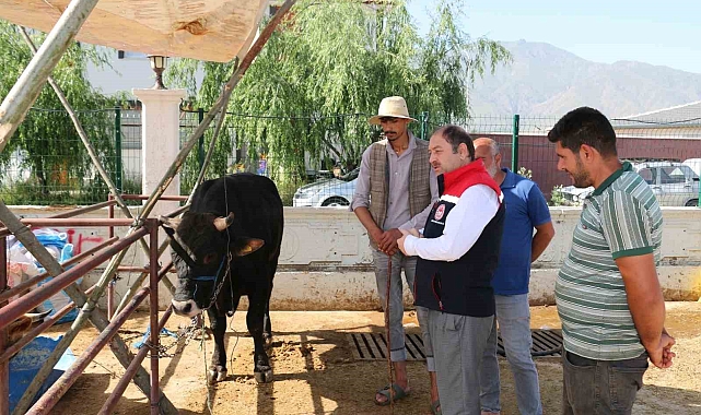 Denetimler sürüyor Erzincan Hayvan Pazarında