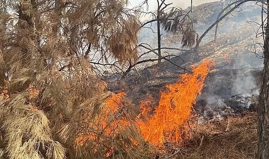 Denizli'de korkutan yangın! Yerleşim alanına doğru ilerliyor! Destek istendi!