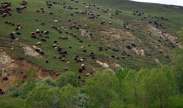 Doğu Anadolu Projesi'nde tarım ve turizm öne çıkan iki sektör