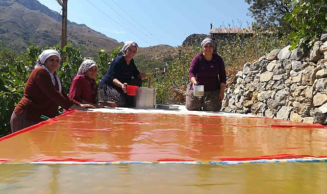 Dutun Başkenti Erzincan'ın Kemaliye ilçesinde kadınların zorlu pestil ve pekmez yapımı imece usulü ile eğlenceli hale geliyor