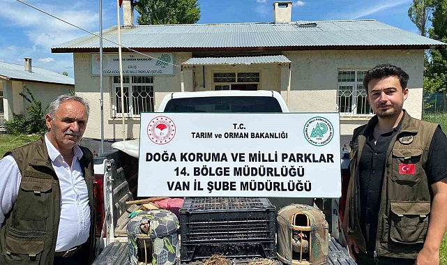 Erciş'te keklik avlayan 1 kişiye 18 bin 721 lira para cezası verildi
