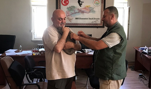 Erzincan'da kuduz aşısı evcil hayvanlara ücretsiz yapılacak