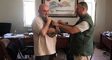 Erzincan'da kuduz aşısı evcil hayvanlara ücretsiz yapılacak