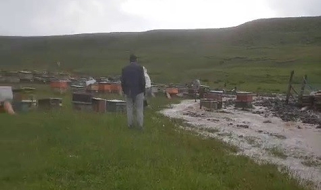 Erzurum'da sel ve dolu arı kovanlarını vurdu