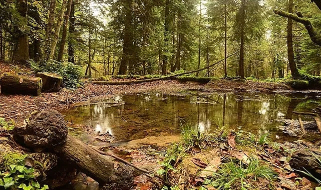 Giresun evlilik teklifi yapılacak yerler: Giresun'da nerede evlilik teklifi yapılır?