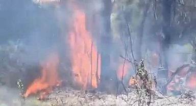 Hakkari Derecik'te ot yangını