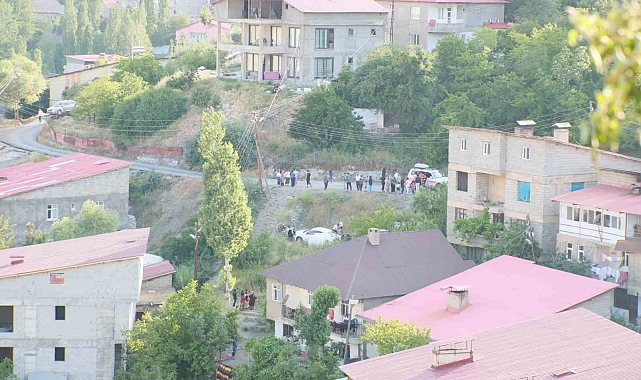 Hakkari'de otomobil kontrolden çıktı: 2 yaralı