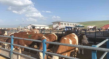 Hareketleniyor Kurban pazarları