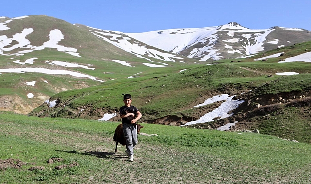 Haziran ayında Ağrı’nın hala bir yanı kar, bir yanı yaz