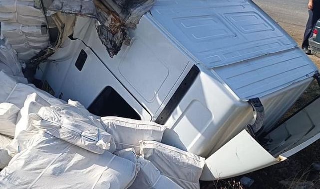 İran'a yük taşıyan tır kaza yaptı: Sürücü yaralandı