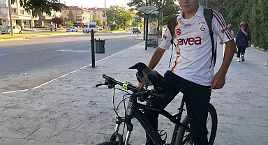 Karga ile lise öğrencisinin dostluğunu görenler imreniyor